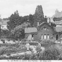 Jardin des plantes