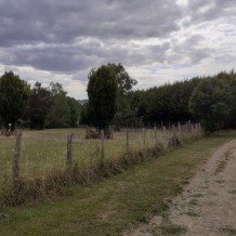 Champ à chiens Coulaines